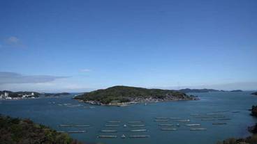 施設からの眺望 / 11