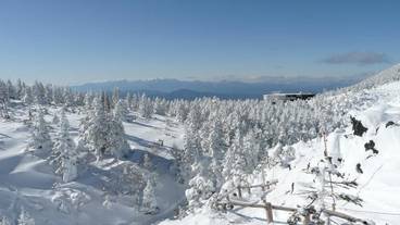 マウンテン ビュー / 13