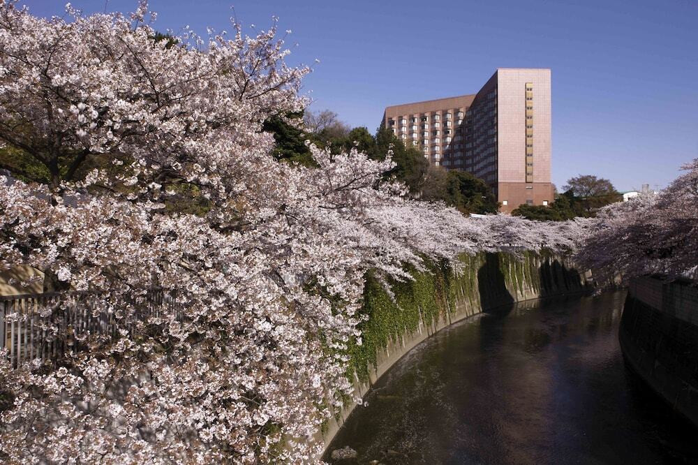 東京の旅をゆっくりと楽しめる「ムスリムフレンドリーホテル」をご紹介3704291