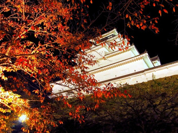 鶴ヶ城公園 [会津若松市]721482
