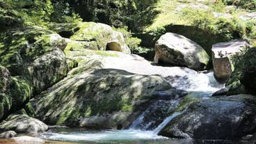 観光スポット / 3