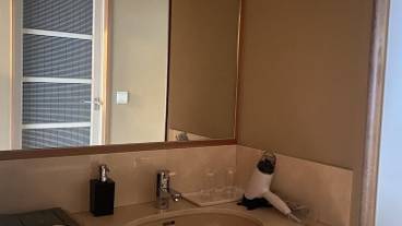 バスルーム / 24