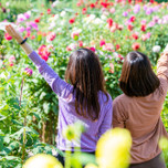 【鹿児島】心はずむ女子旅へ！美しい花が鑑賞できる名所・観光スポット7選