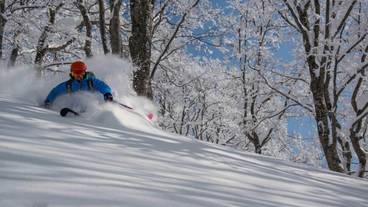 スノー スポーツとスキー / 1