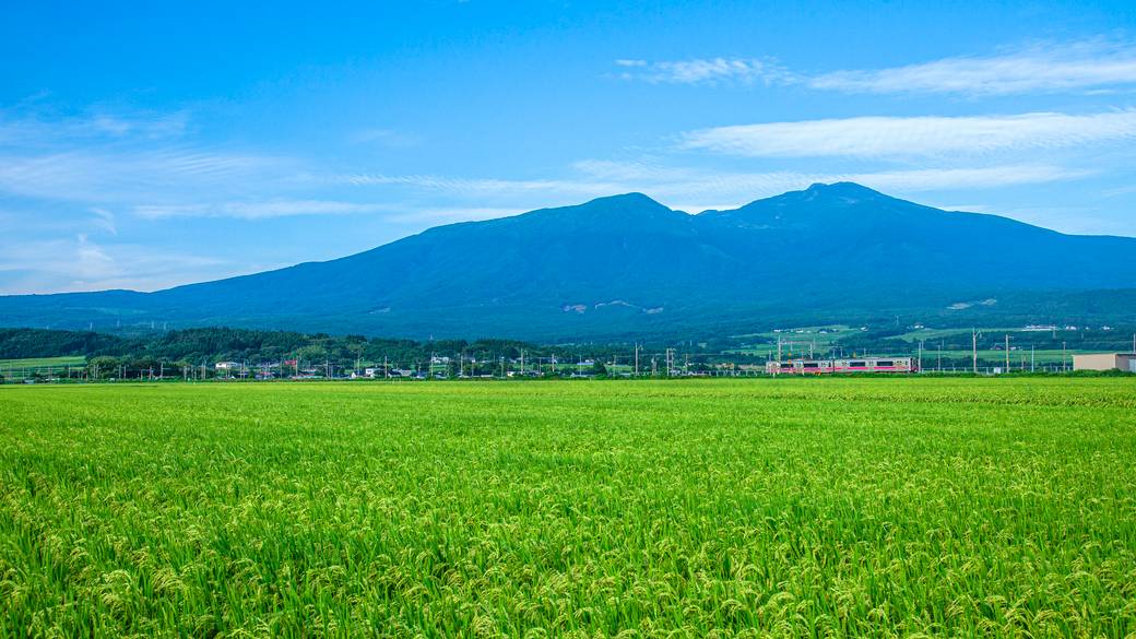 庄内地方の風景 / 1