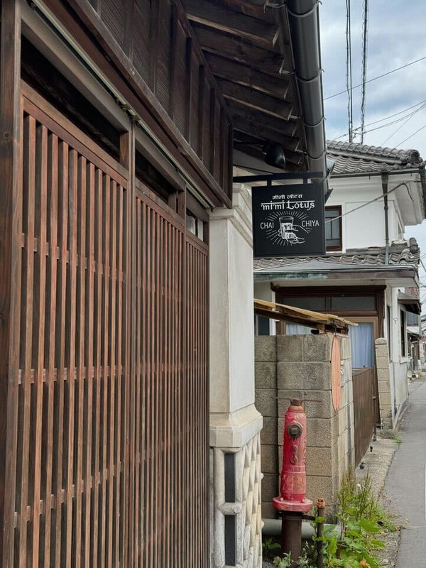 「mimi lotus」 / 10