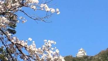 観光スポット / 5