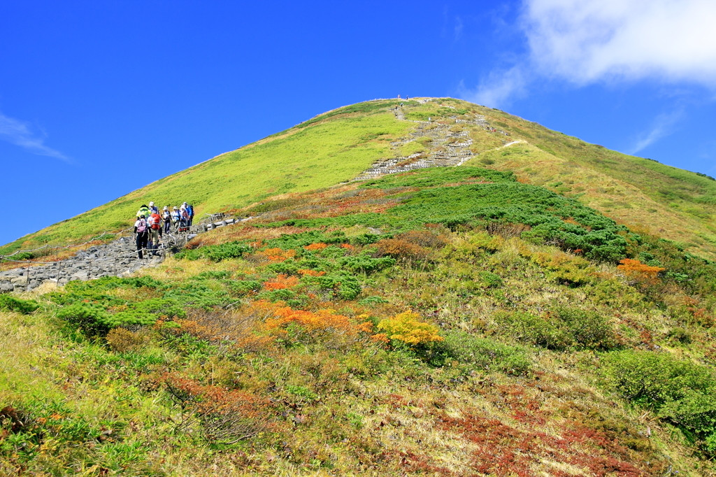 秋田駒ケ岳（あきたこまがたけ）4089228