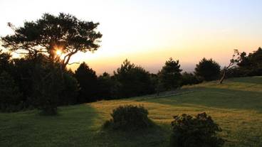 施設の敷地 / 24