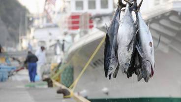 観光スポット / 3