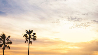 グランドツイン（2-5F）