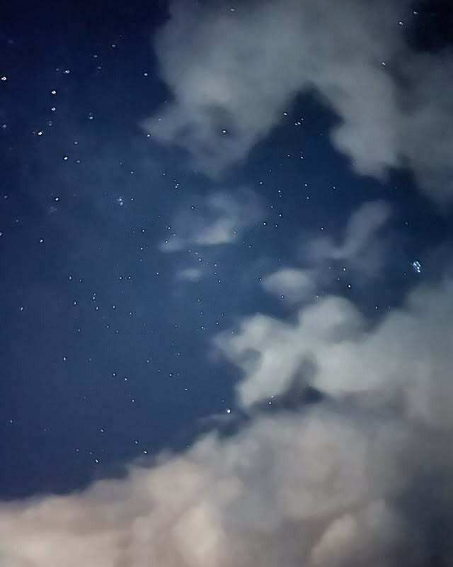 _m.photorip_さんの写真 / 1