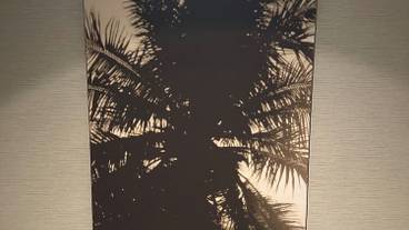 施設内の設備 / 5