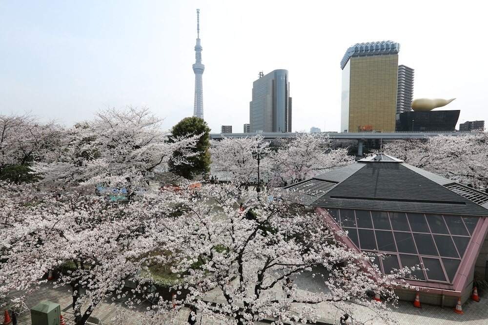 施設からの眺望