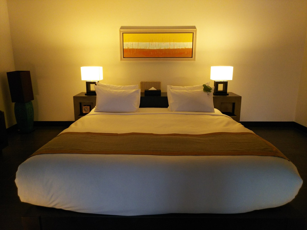 ダブルベッド 小さな亀のウェルカムギフトがちょこんと乗ってる