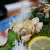 はまぐり（ハマグリ）