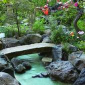 横手駅前温泉 ホテルプラザ迎賓（秋田県 旅館） / 4