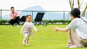 テラス / パティオ / 9