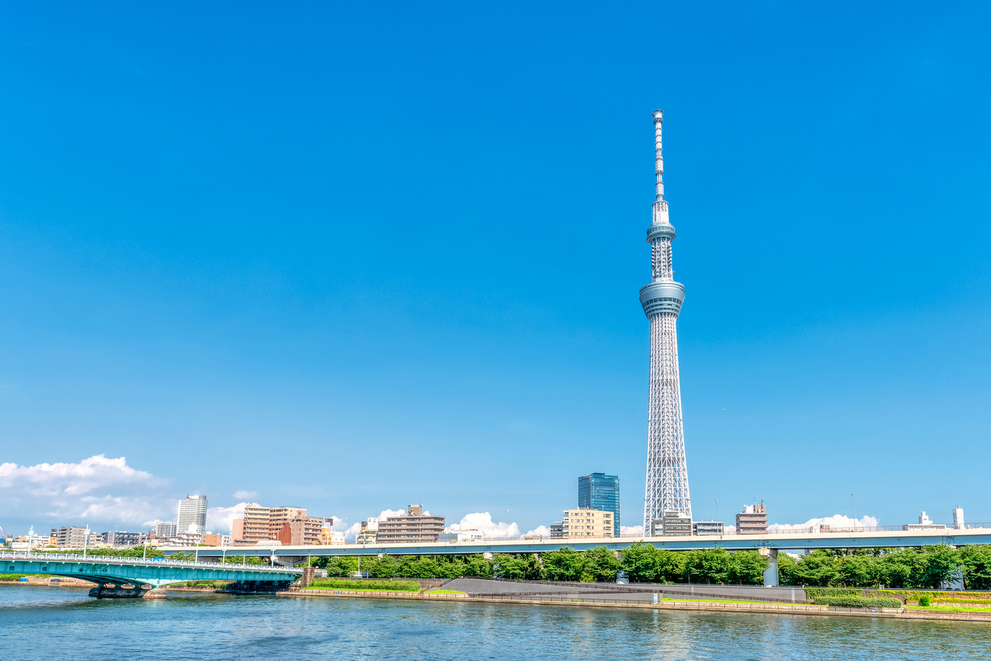 東京の都市風景　スカイツリー