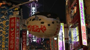 シティ ビュー / 29