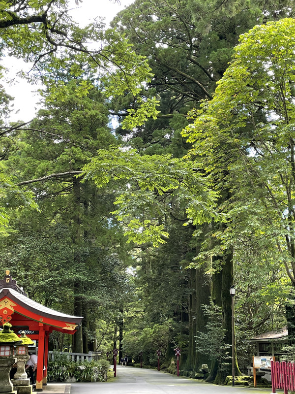 yuriyurimonemoneさんの写真 / 3