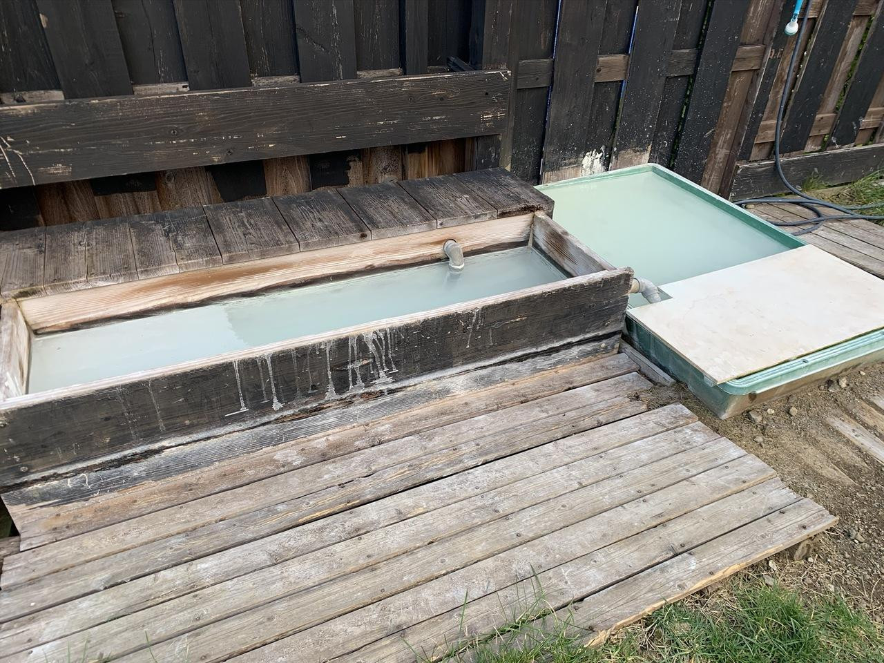 ワンちゃん専用の本格温泉もあり3925032