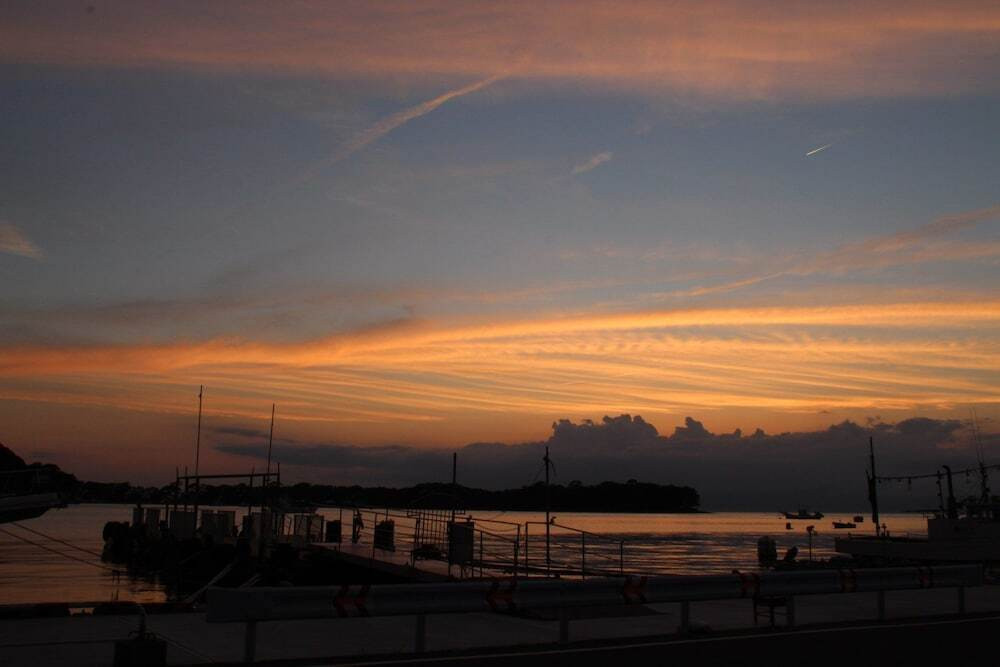 ビーチ / オーシャン ビュー