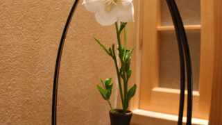 ツインルーム 2 ベッドルーム 禁煙 専用バスルーム