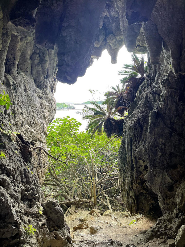 24hironさんの写真 / 2