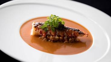 食事・飲み物 / 8