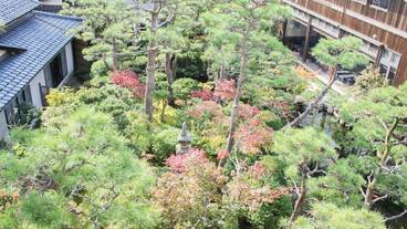 ガーデン ビュー / 23