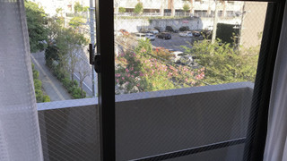 ツインルーム ダブルベッド