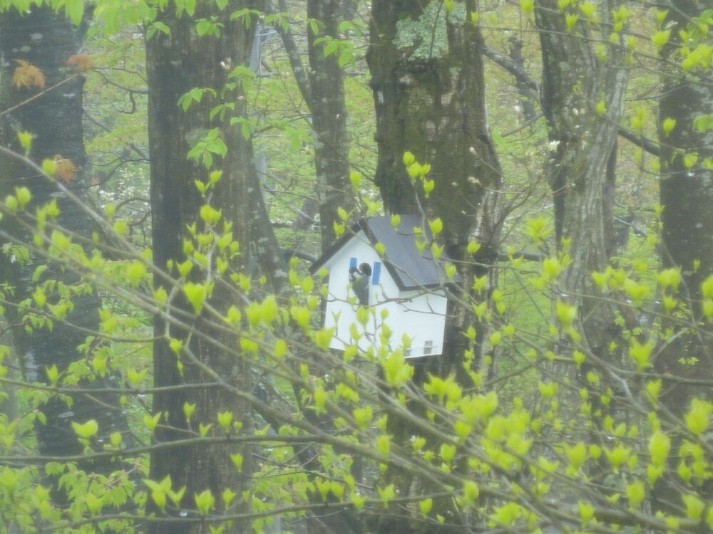 部屋からの景観