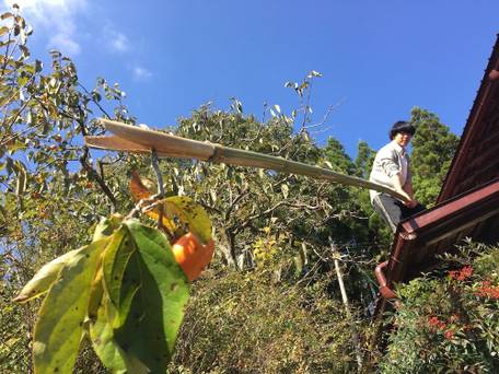 五右衛門 GOEMON KYOTO JAPAN / 1
