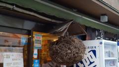 四万温泉 地酒の宿 中村屋