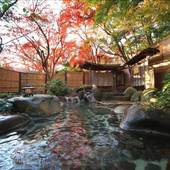 修善寺温泉 国の登録文化財の宿 新井旅館（静岡県 旅館） / 5