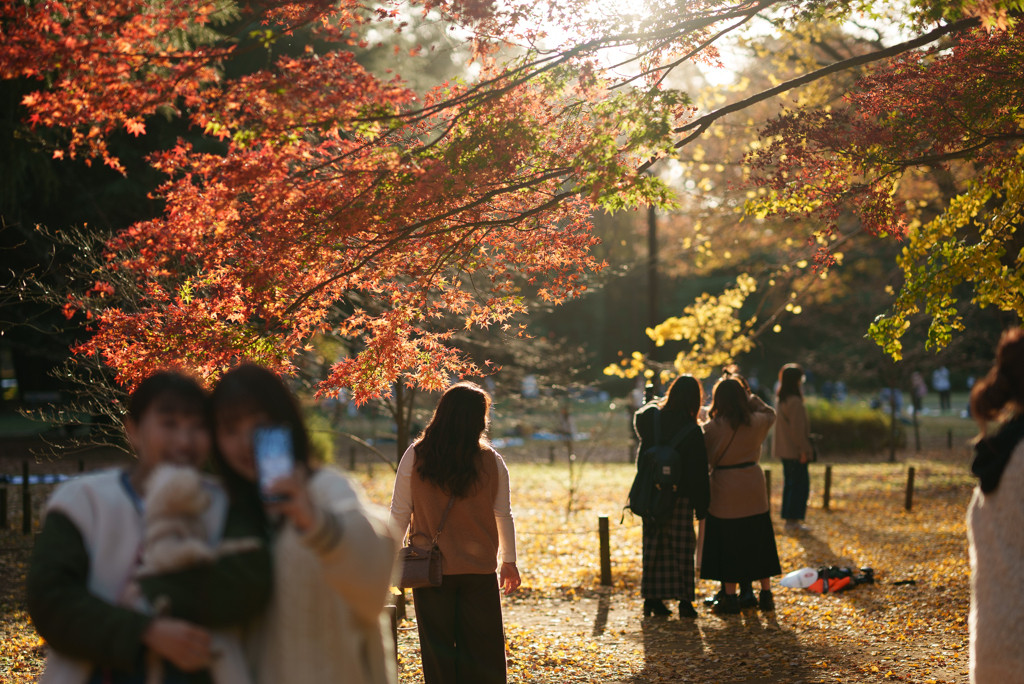 16.街歩きの休憩にもぴったり♩「代々木公園」3142082
