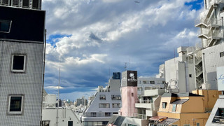 4ベッドグループルーム 禁煙 (シャワー·トイレ共有)