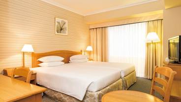 ハリウッドツイン / 11