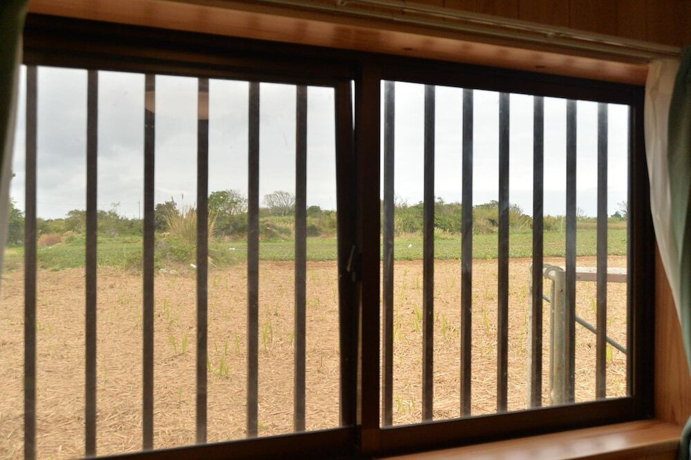 部屋からの景観