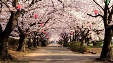 シティ ビュー / 9