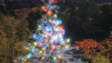 観光スポット / 5