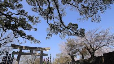 施設からの眺望 / 21