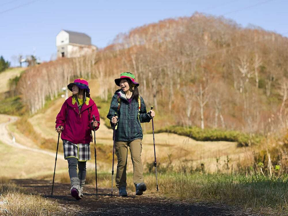 ロッククライミング用の壁 - 屋内