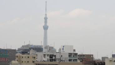 施設からの眺望 / 16