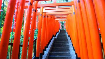 観光スポット / 8