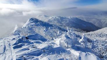 施設からの眺望 / 37
