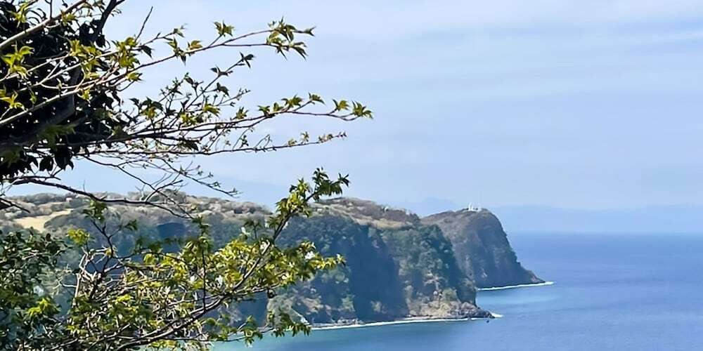 施設からの眺望