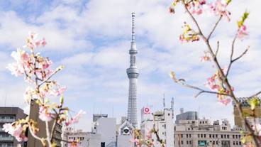 屋上テラス / 14