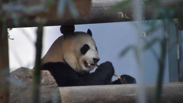 観光スポット / 6